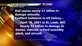 Did You Know With Jill: 3 Facts About Hail
