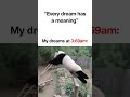 My Dreams at 3am