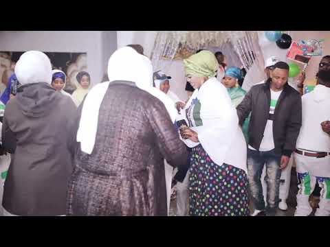 HEESTI  BEENLOWA TAHAY/  BY DULMANE 2022