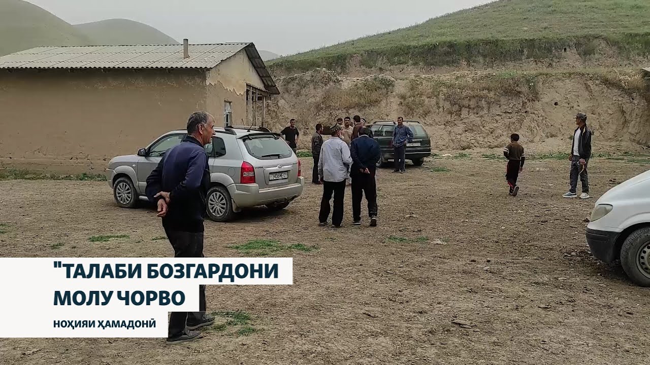 "Як чӯпон ба ҷиноят роҳ дод, чорвои ҳамаи моро мусодира карданд!"