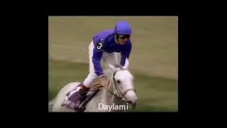 1999 Breeders Cup Turf - Daylami 1999 Breeders Cup Turf - Daylami