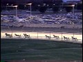 Maple Leaf Trot 1989 No Sex Please