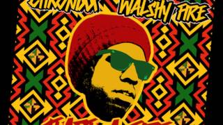 Chronixx - Aint No Giving In (2013)