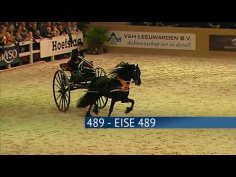 Hengstenkeuring 2017 – Uitreiking SilverBowl