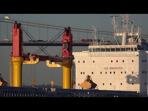 FANTASTIC ISTANBUL STRAIT "BOSPHORUS" Shipspotting December 2021