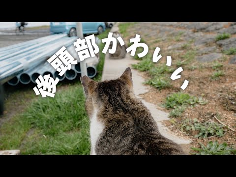 江戸川スナップとかわいい後頭部｜木村篤志 / Atsushi  Kimura