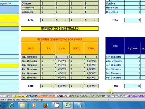 Formato en excel para la diot