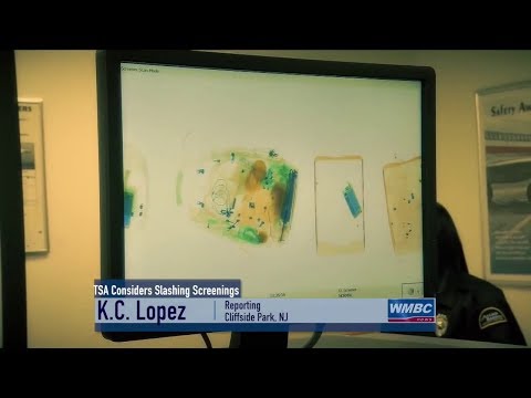 3–D Printed Guns & TSA Screening