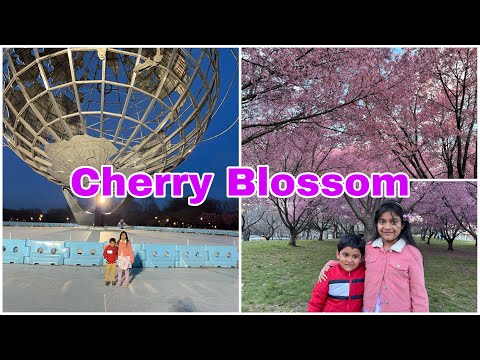 Cherry Blossom| Fresh Meadow Park | Areebah and Arshan’s world | Fun with Family