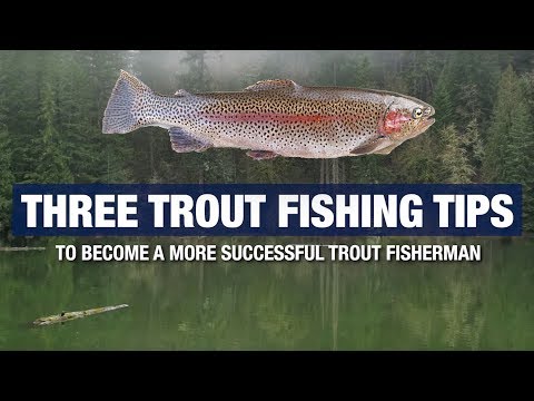YouTube video about: When is the best time to fish for trout?