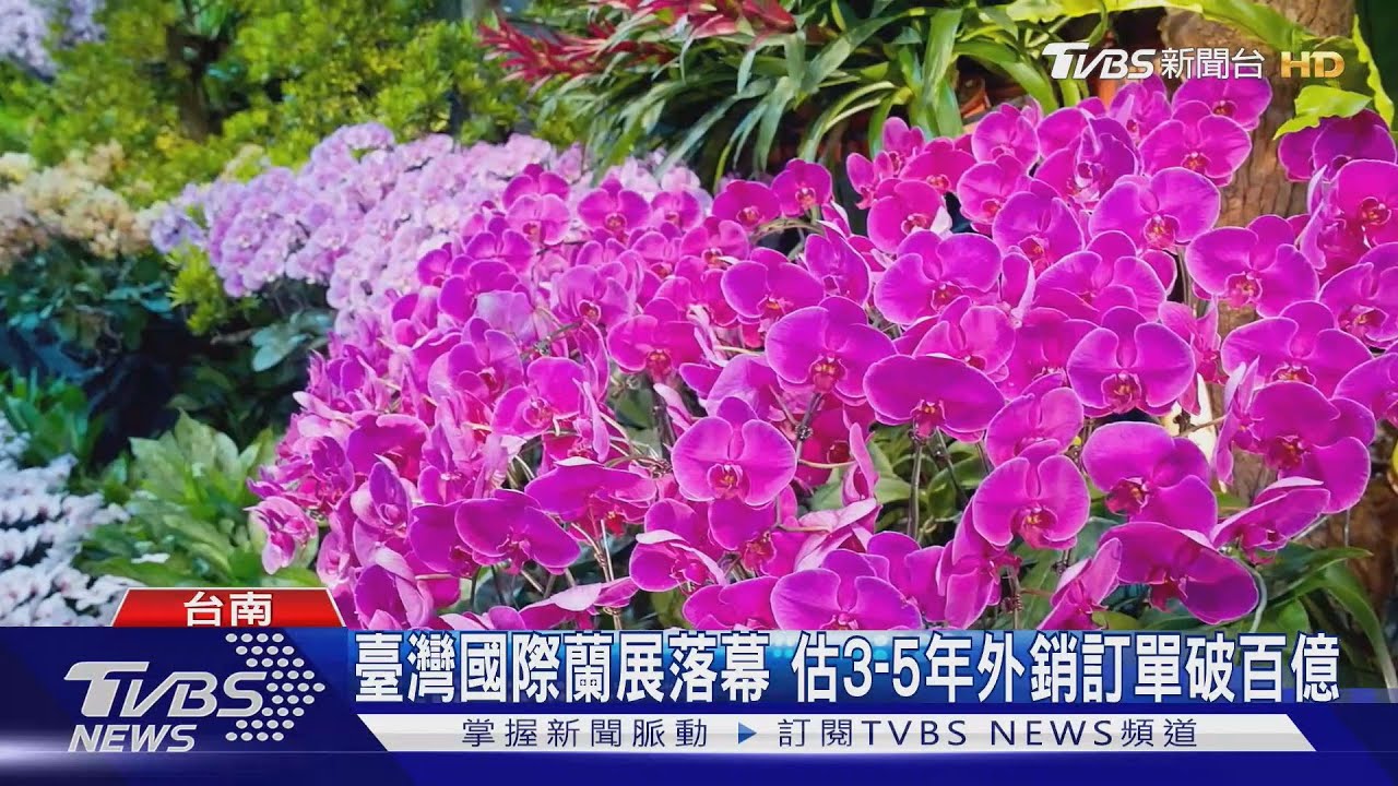2025蘭展破36.2萬參觀人次！銷售額創歷年新高