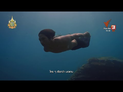 คลิกเพื่อดูคลิปวิดีโอ