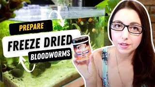 How To Prepare Freeze Dried Bloodworms For Fish