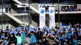 preview picture of video 'Gure Esku Dago (Esku-Flashmob Muskiz)'
