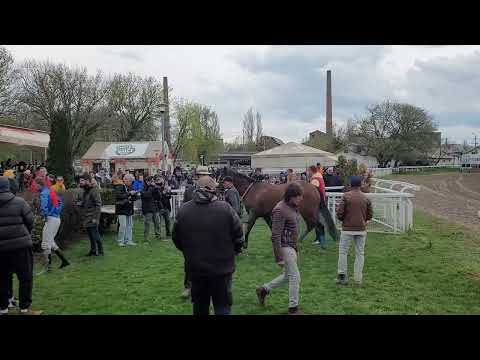 My Dear Friend - trka Piccolo Party (Kategorija II) 1700m