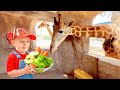 Diana Y Roma Alimentan A Los Animales Del Zoológico Más Historias Sobre Animales Para Niños