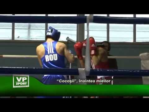 “Cocoşii”, înaintea mieilor