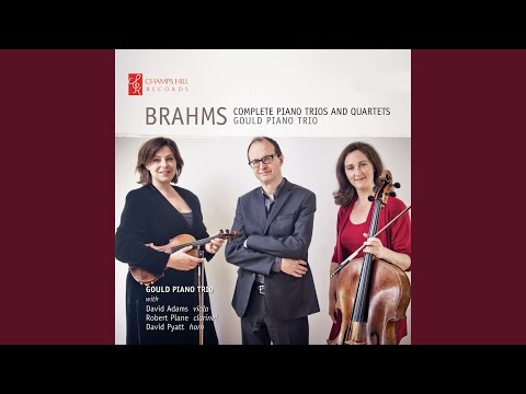 String Sextet No. 2 in G Major, Op. 36 (arr. T. Kirchner for Piano Trio) : I. Allegro non troppo