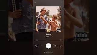 Indochine - columbine