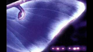 Jon Hopkins - Black & Red