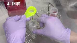 動画のサムネイル