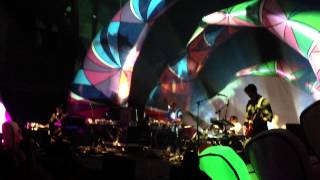 Animal Collective - Amanita (Live - ATX 9/28/12)