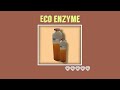 Download Lagu Eco Enzyme Vlog Project I Makarios Christian School Mp3 Free