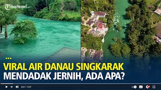 Download lagu Viral Air Danau Singkarak Mendadak Jernih di Tengah Banjir Sumatera, Ada Apa? mp3