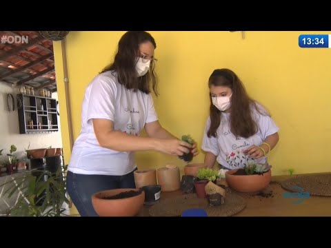 Criança que fez campanha de venda de mudas faz do ocasional um empreendimento 07 05 2021