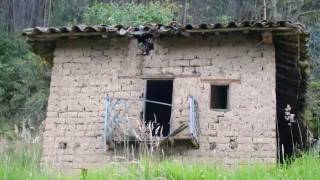 Temerarios Nostalgia Campesina