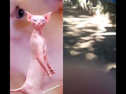 23 de febrero de 2024