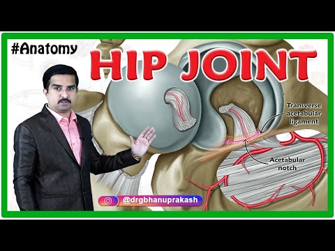 HIP Joint Anatomy Animation : Ligaments, Movements, Blood supply, Nerve supply / USMLE Step 1