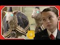 Time Travelling Sheep Trouble Odd Squad STEM Shows For Kids