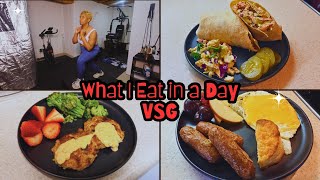 VSG | What I Eat in a Day | Getting Back on Track with Fitness | Unemployed | Walking in My Purpose