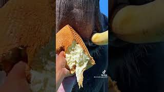 これぞAV [TikTok]