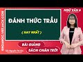 Đánh thức trầu - Ngữ văn lớp 6 - Chân trời sáng tạo