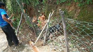 Download lagu moro bagong part 2 mp3