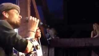 Gin Blossoms - Miss Disarray (Houston 03.22.14) HD