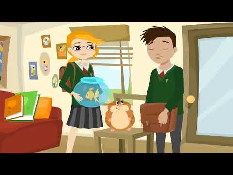 Present Simple Grammar Negative - Hamsters don't talk