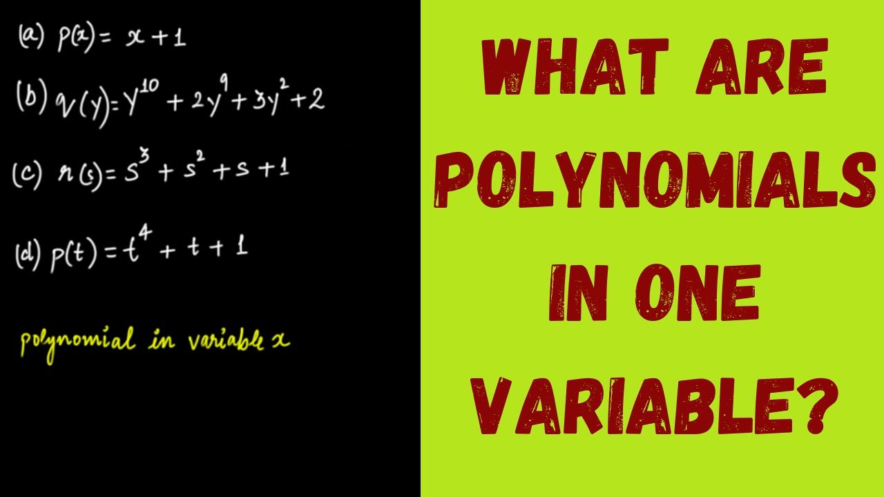 What are Polynomials in One Variable? || Polynomials || Grade 9