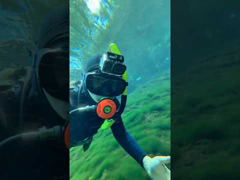 Você já conhece o Lago Azul na Vila Propício - GO? #mergulho #detectorismo #scuba #scubadiving