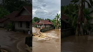 Download lagu RUMAH TERENDAM Warga Bertahan Saat Banjir Deras Menyapu Pemukiman #video #shortsviral #viral #banjir mp3 Download lagu RUMAH TERENDAM Warga Bertahan Saat Banjir Deras Menyapu Pemukiman #video #shortsviral #viral #banjir mp3