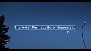 The Avis' Permaculture Homestead  //  pt. 1