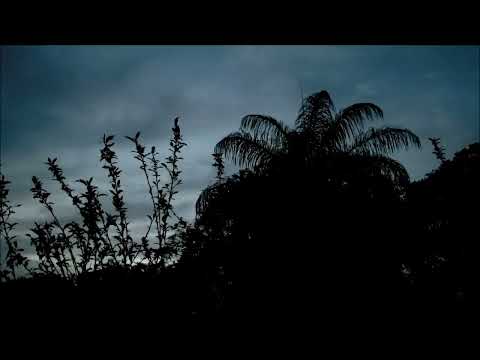 Nana Vasconcelos & Collin Walcott, NYC (1980)