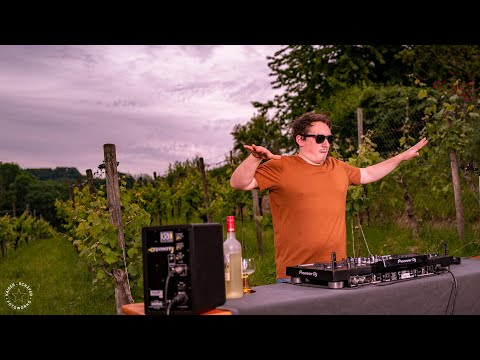 Weinberg Session [Sunset | Weinmarkt Heppenheim]