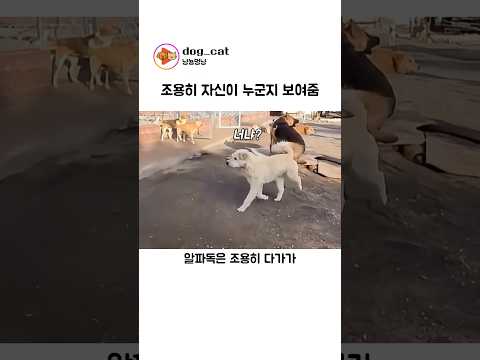 조용히 자신이 누군지 보여줌