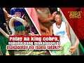 Patay Na King Cobra Nakuha Pang Makalason At Makapatay Ng Isang Lalaki Kapuso Mo Jessica Soho