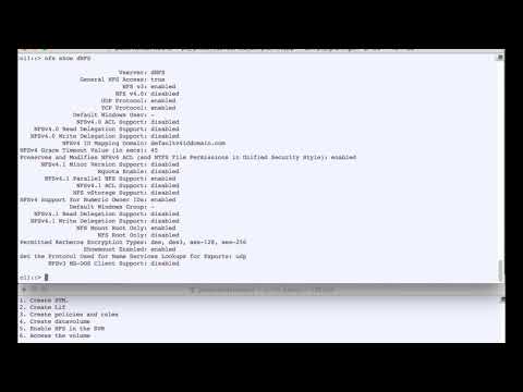 NetApp ONTAP cli NAS part3