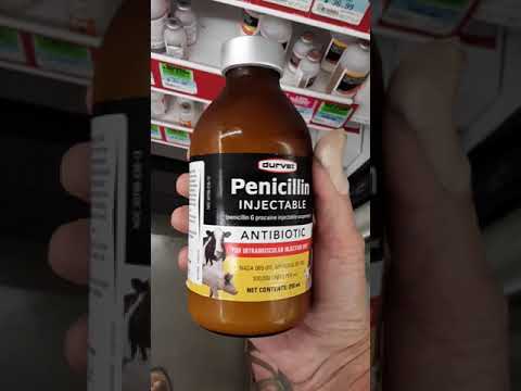 Tetanus and Penicillin for HuplesCat