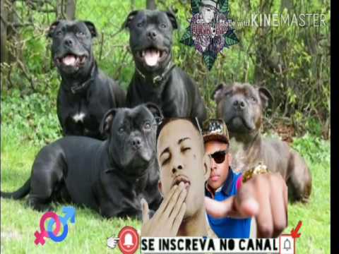 MC Magrinho e MC Kitinho - Ritmo da Cachorrada ( DJ Igor MPC ) Lançamento 2017